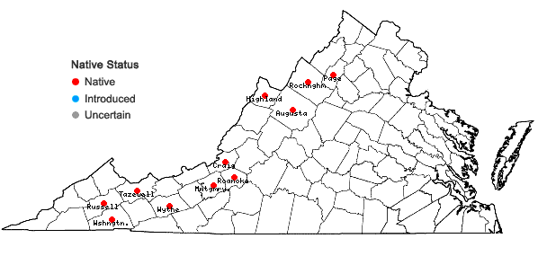 Locations ofSyntrichia papillosa (Wilson) Jur. in Virginia