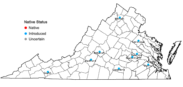 Locations ofSyringa vulgaris L. in Virginia