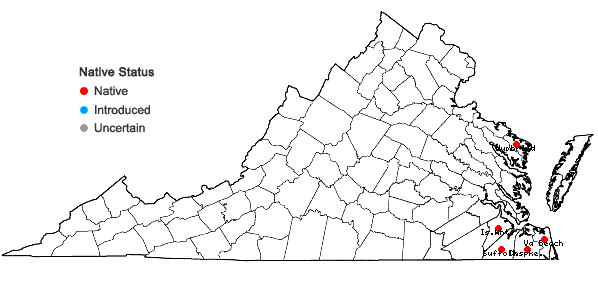 Locations ofSyrrhopodon texanus Sull. in Virginia