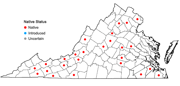 Locations ofSyzygiella autumnalis (DC.) K. Feldberg, Vána, Hentschel & J. Heinrichs in Virginia
