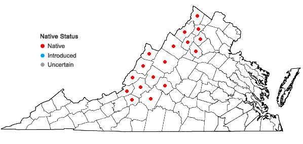 Locations ofTaenidia montana (Mackenzie) Cronq. in Virginia
