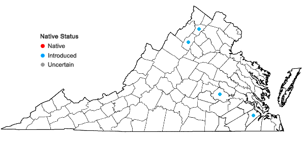 Locations ofTagetes patula L. in Virginia