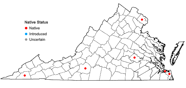 Locations ofTanacetum parthenium (L.) Schultz Bip. in Virginia