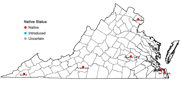 Locations ofTanacetum parthenium (L.) Schultz Bip. in Virginia