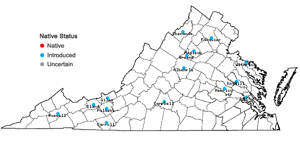 Locations ofTanacetum vulgare L. in Virginia