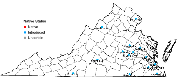 Locations ofTarenaya hassleriana (Chodat) H.H. Iltis in Virginia