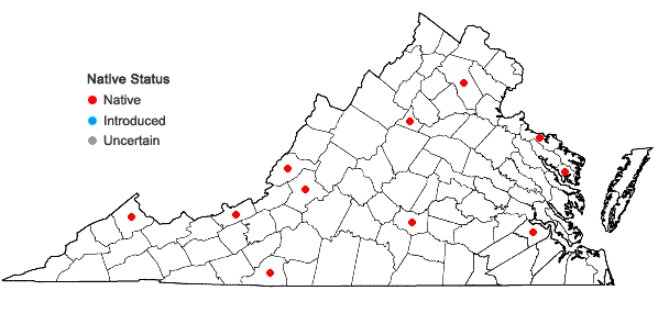 Locations ofTaxiphyllum taxirameum (Mitt.) M. Fleisch. in Virginia