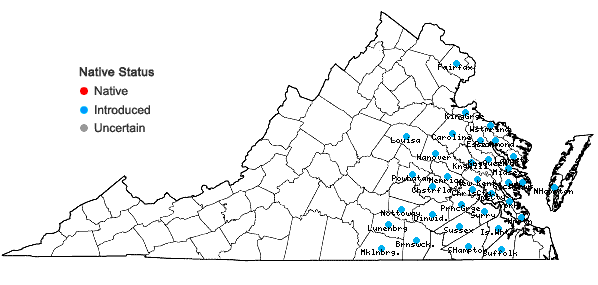Locations ofTeesdalia nudicaulis (L.) W.T. Ait. in Virginia