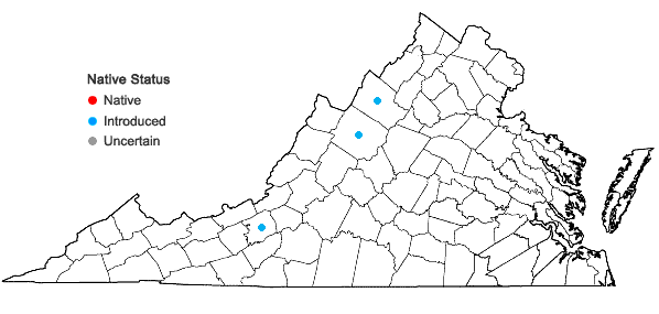 Locations ofTetradium daniellii (Benn.) T.G. Hartley in Virginia