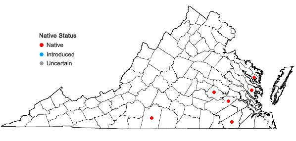 Locations ofTetragonotheca helianthoides L. in Virginia