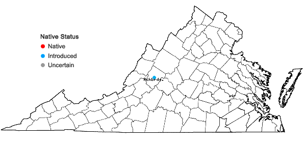 Locations ofTeucrium botrys L. in Virginia