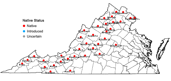 Locations ofThalictrum coriaceum (Britt.) Small in Virginia