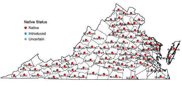 Locations ofThalictrum pubescens Pursh in Virginia