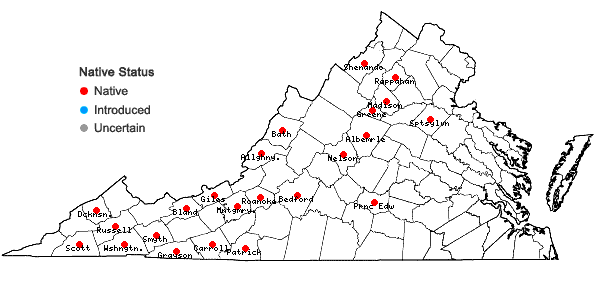 Locations ofThamnobryum alleghaniense (Müll. Hal.) Nieuwl. in Virginia