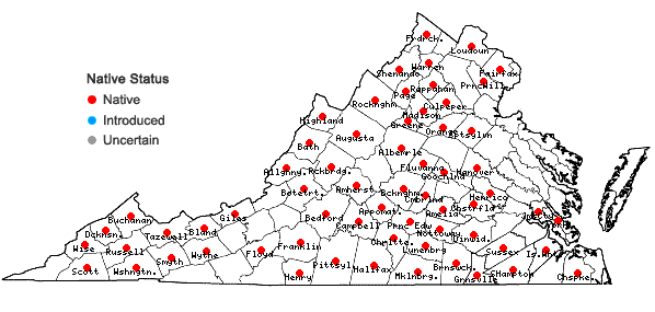 Locations ofThaspium trifoliatum (L.) Gray in Virginia