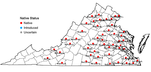 Locations ofThelia asprella (Schimp.) Sull. in Virginia