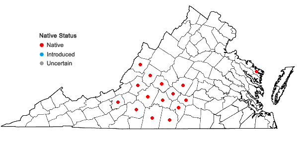 Locations ofThermopsis mollis (Michx.) M.A. Curtis ex Gray in Virginia
