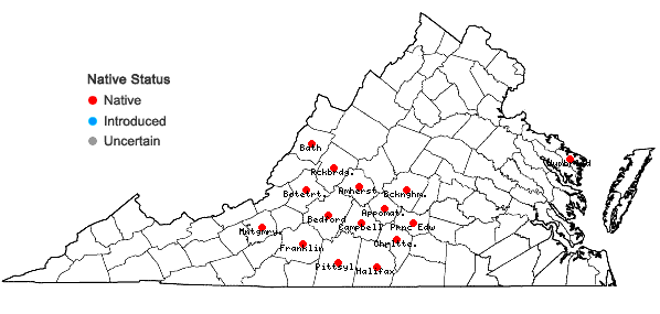Locations ofThermopsis mollis (Michx.) M.A. Curtis ex Gray in Virginia