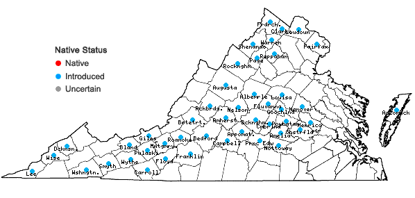 Locations ofThlaspi alliaceum L. in Virginia