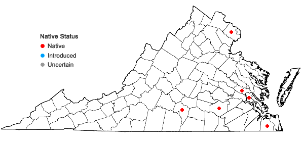 Locations ofThuidium alleniorum Austin in Virginia