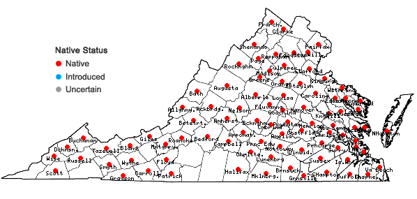 Locations ofThuidium delicatulum (Hedw.) Schimp. in Virginia