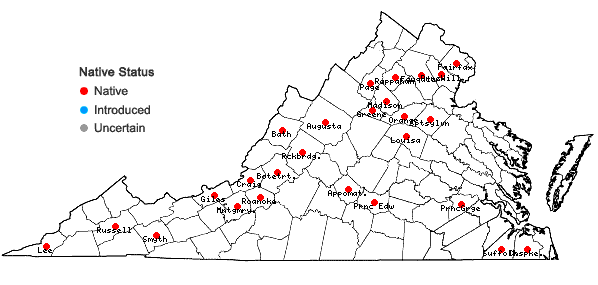 Locations ofThuidium recognitum (Hedw.) Lindb. in Virginia