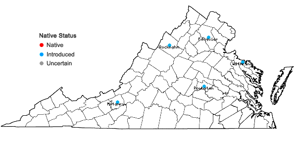 Locations ofThymus pulegioides L. in Virginia