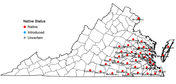 Locations ofThyrsanthella difformis (Walter) Pichon in Virginia