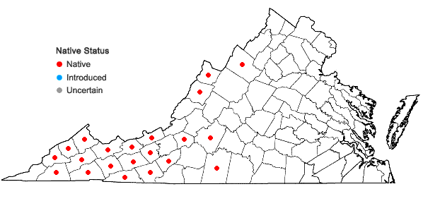 Locations ofTiarella stolonifera Nesom in Virginia