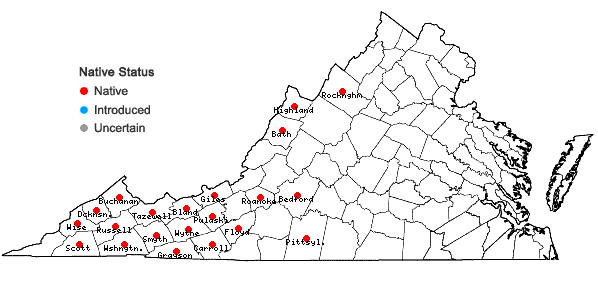 Locations ofTiarella stolonifera Nesom in Virginia