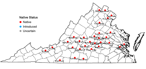 Locations ofTilia americana L. var. americana in Virginia