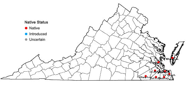 Locations ofTillandsia usneoides (L.) L. in Virginia
