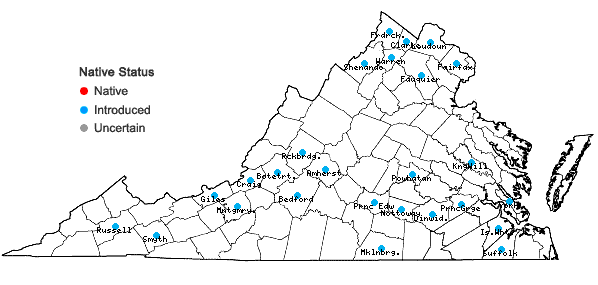 Locations ofTorilis arvensis (Huds.) Link ssp. recta Jury in Virginia