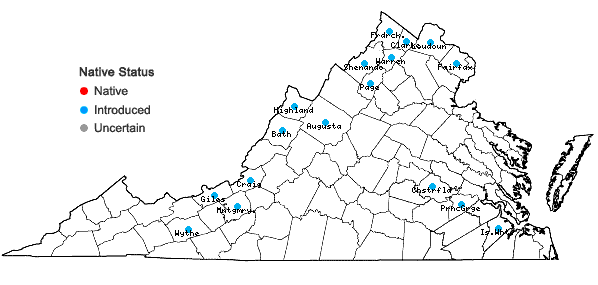 Locations ofTorilis japonica (Houtt.) DC. in Virginia