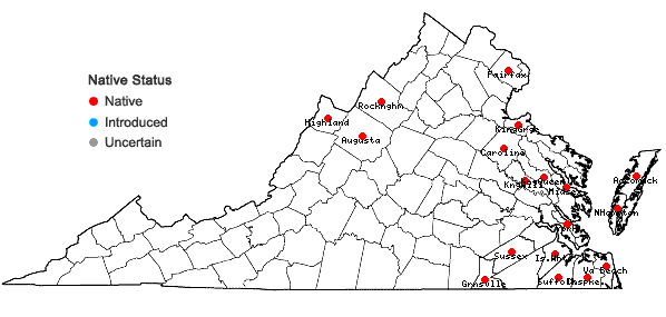 Locations ofTorreyochloa pallida (Torr.) Church var. pallida in Virginia