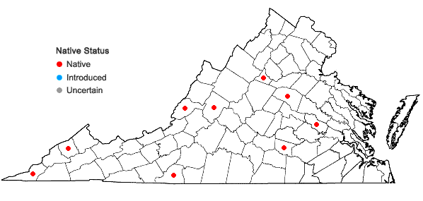Locations ofTortella tortuosa (Hedw.) Limpr. var. tortuosa in Virginia