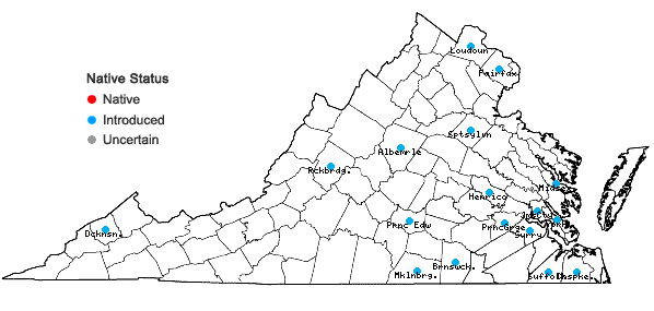 Locations ofTortula muralis Hedwig in Virginia