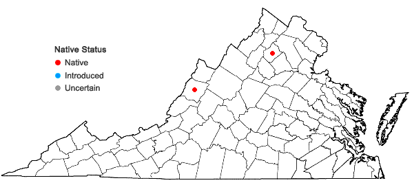 Locations ofTortula obtusifolia (Schwägr.) Mathieu in Virginia