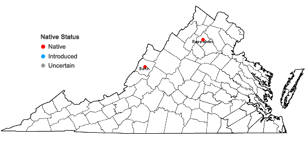 Locations ofTortula obtusifolia (Schwägr.) Mathieu in Virginia