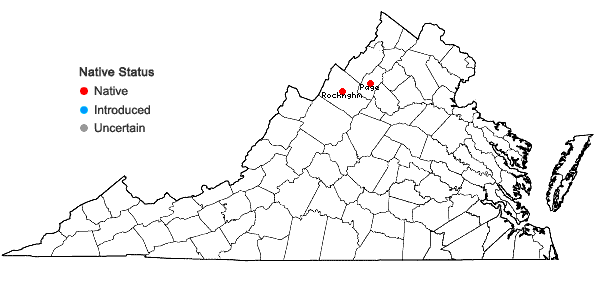 Locations ofToxicodendron rydbergii (Small ex Rydberg) Greene in Virginia