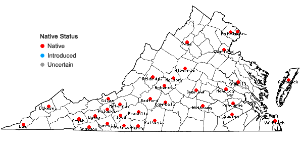 Locations ofTradescantia ohiensis Rafinesque in Virginia