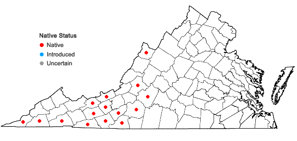 Locations ofTradescantia subaspera Ker-Gawler in Virginia