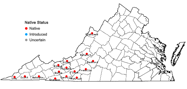 Locations ofTradescantia subaspera Ker-Gawler in Virginia