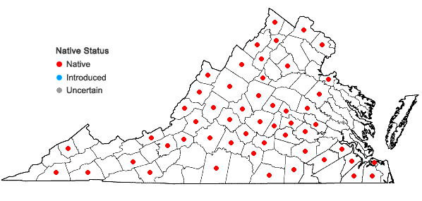 Locations ofTradescantia virginiana L. in Virginia