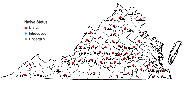 Locations ofTradescantia virginiana L. in Virginia