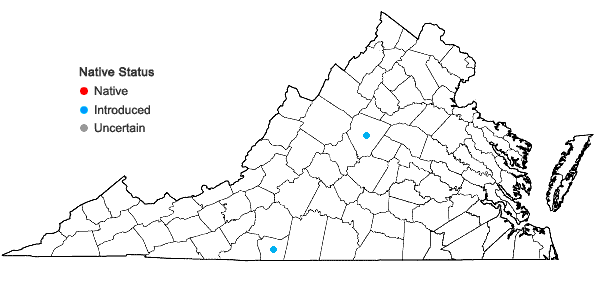Locations ofTragia betonicifolia Nuttall in Virginia