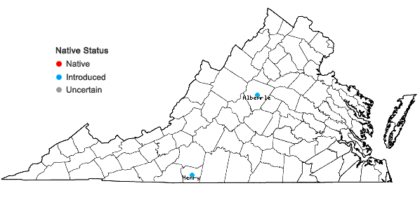 Locations ofTragia betonicifolia Nuttall in Virginia