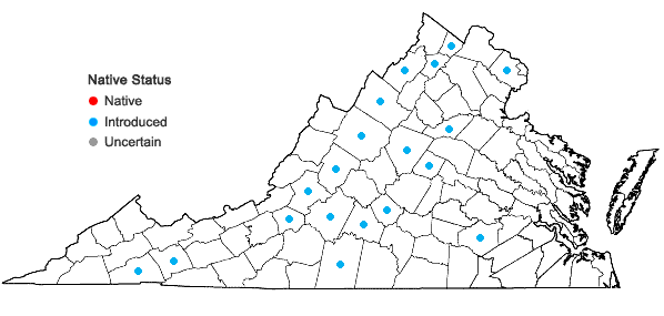 Locations ofTragopogon porrifolius L. in Virginia