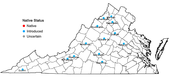Locations ofTragopogon pratensis L. in Virginia