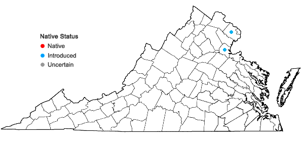 Locations ofTrapa natans L. in Virginia